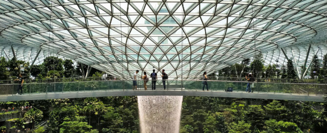 biophilic_design