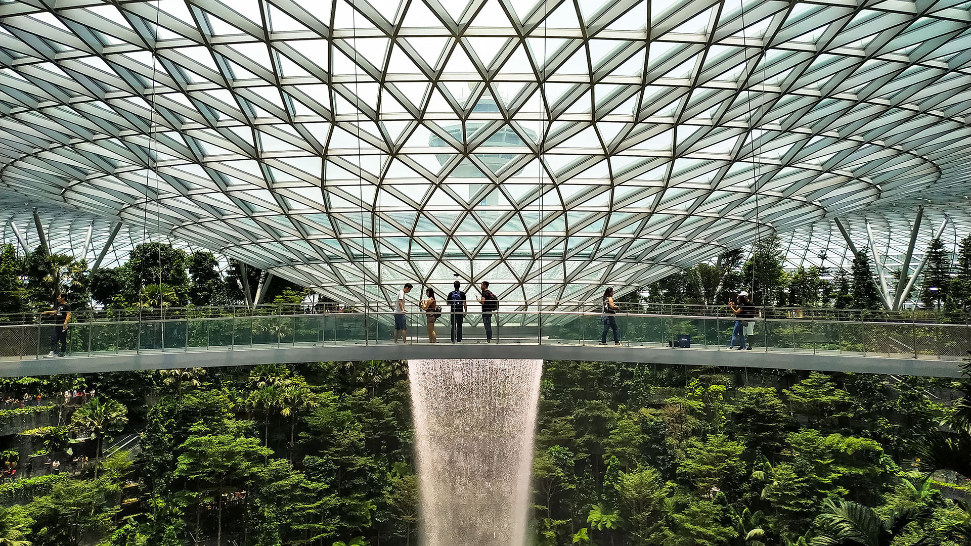 biophilic_design